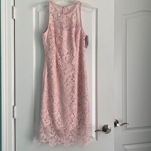 Pink Lace Cocktail Dress - WHBM Wedding Guest, Flirty & Sleek Sheath Dress